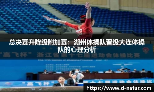 总决赛升降级附加赛：湖州体操队晋级大连体操队的心理分析