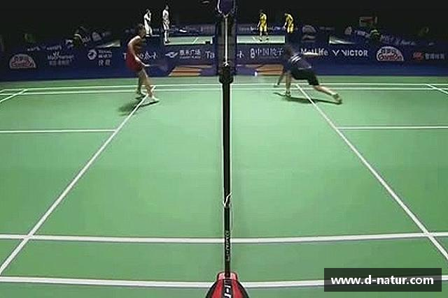 关于乐动LDSports